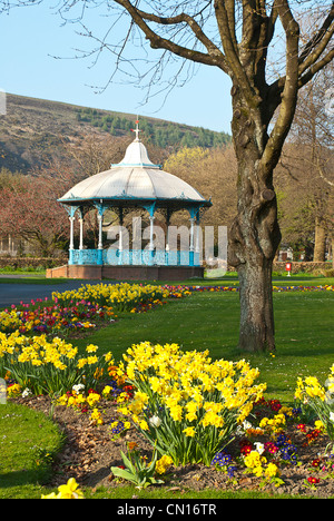 Musikpavillon in einem Landschaftspark im Frühling mit blühenden Beeten bestehend aus Narzissen Tulpen Primeln Stockfoto