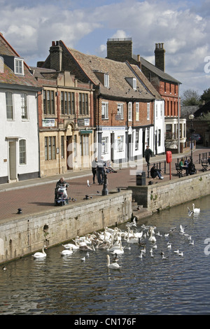 St Ives Cambridgeshire den großen Fluss Ouse Stockfoto