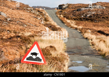 Calums Straße auf der Isle of Raasay, Schottland. Jahrelang versucht Malcolm Macleod, der Rat, den Fußweg zu seinem Haus in Arnish im Norden der Insel ohne Erfolg zu ersetzen zu überzeugen. Er beschloss, die Straße selbst zu bauen. Für die nächsten zehn Jahre baute er praktisch einzigen im Alleingang der Straße mit wenig mehr als ein Pick, eine Schaufel und eine Schubkarre. Diese Aufnahme zeigt eine Schild Warnung der Freilandhaltung Schweine. Stockfoto