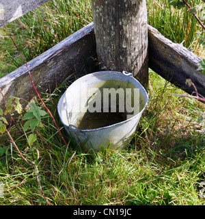 Eimer mit Wasser für die Tiere gegen Zaun, Molly Gallivan Ferienhaus und traditionellen Bauernhof Visitor Centre, Bonane, Irland Stockfoto