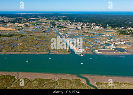 Frankreich, Charente Maritime, La Tremblade, Seudre Fluss und la Greve Auster Hafen (Luftbild) Stockfoto