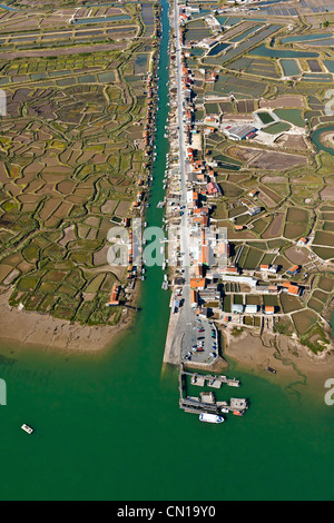 Frankreich, Charente Maritime, La Tremblade, Seudre Fluss und la Greve Auster Hafen (Luftbild) Stockfoto