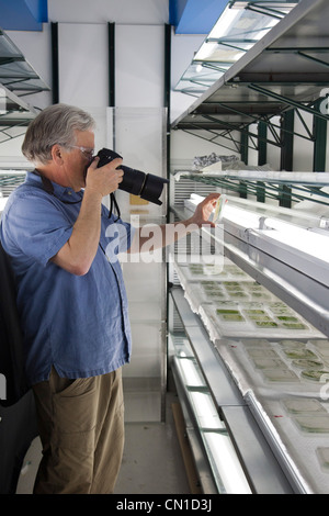 Forschung zu erneuerbaren Energien bei der National Renewable Energy Laboratory Stockfoto