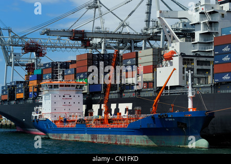 Frankreich, Seine Maritime, Le Havre, Containerschiff im Hafen Stockfoto