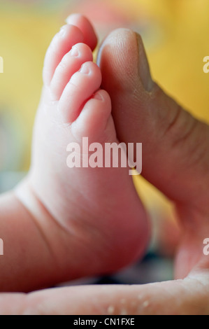 Baby-Zehen und Mannes Daumen Stockfoto