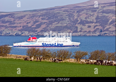 Stena Line Neuwagen und PKW RoRo Fähre Stena Superfast VII Annäherung an neuen Fährhafen Cairnryan Loch Ryan von Belfast Stockfoto