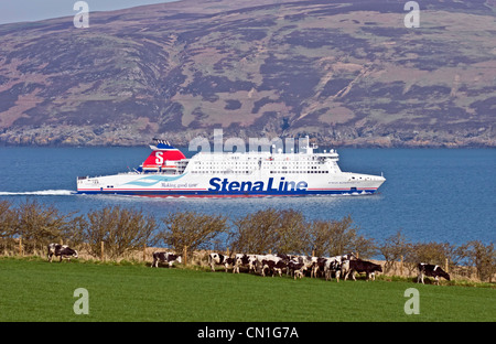Stena Line Neuwagen und PKW RoRo Fähre Stena Superfast VII Annäherung an neuen Fährhafen Cairnryan Loch Ryan von Belfast Stockfoto