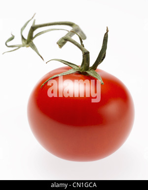Ganz rote Cherry-Tomaten mit Stiel Stockfoto