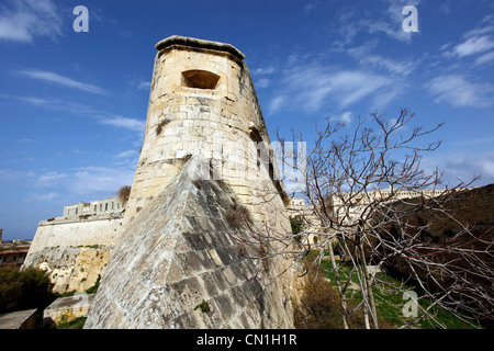 Stadtmauer von Fort St. Elmo in Valletta, Malta Stockfoto