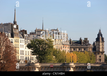 Frankreich, Paris, die Ufer der Seine, Weltkulturerbe der UNESCO, die Pont Neuf und die Fassaden der Quai des Stockfoto