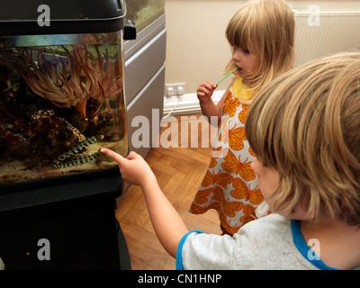 Jungen und Mädchen auf der Suche auf Fische In Salzwasserfische Tank Boy zeigt auf Schneeflocke Moray Stockfoto