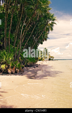 Playa Blanca, einem weißen Sandstrand an der guatemaltekischen Karibikküste Stockfoto