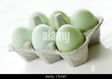 Sechs blauen Eiern im Karton Stockfoto