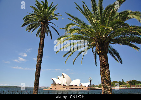 Sydney Opera House von Dawes Point Park, Sydney Harbour, Sydney, New South Wales, Australien Stockfoto