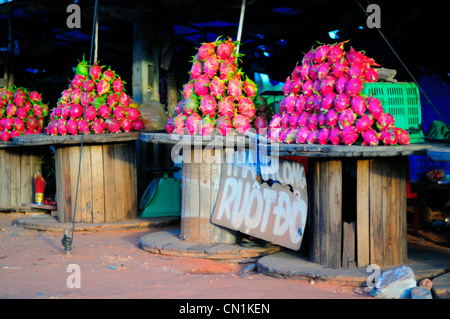 Drachenfrucht oder Pitaya verkauft am Straßenrand, Provinz Binh Thuan, Vietnam Stockfoto