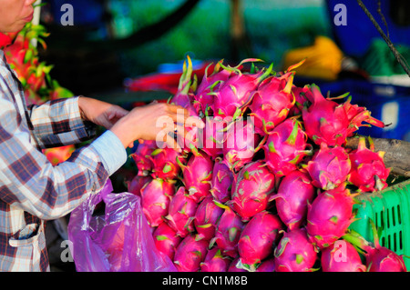Drachenfrucht oder Pitaya verkauft durch den Straßenrand, Provinz Binh Thuan, Vietnam, Asien Stockfoto
