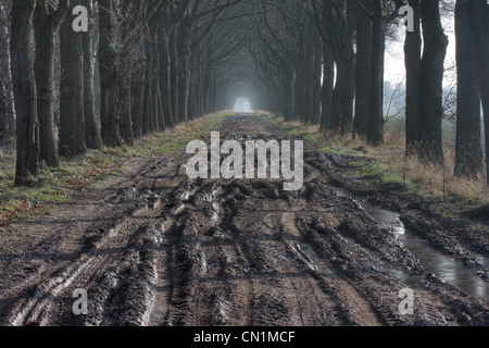 Schlechte Straßenverhältnisse: einen schlammigen Countryroad mit Auto verfolgt im Herbst. Stockfoto