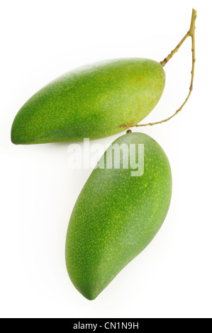 grüne Mango isoliert auf weißem Hintergrund Stockfoto