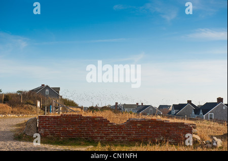 Herbst-Szene, die ein Vogelschwarm durch den Himmel über graue Zeder fliegt Schindeln Hütten auf Nantucket Island, Massachusetts, USA. Stockfoto