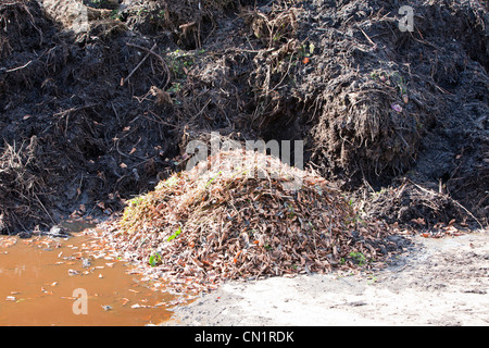 Wächst mit der Gnade ist ein Bio-Obst und Gemüseanbau kooperative in Clapham in den Yorkshire Dales, UK. Stockfoto