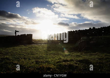 Trockenmauer im Feld Stockfoto