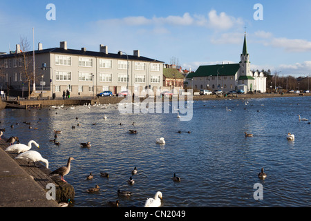 See von Reykjavik, Island Stockfoto