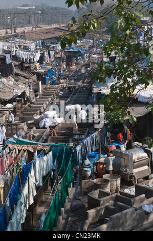 Mahalaxmi Dhobi Ghat Outdoor Wäsche Mumbai Bombay Indien Stockfoto