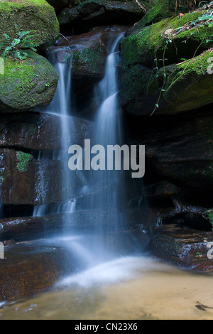 Jerusalem Creek Falls, Barrington Tops, NSW. Stockfoto