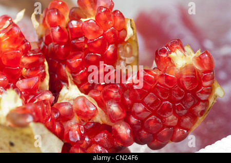 Thailand, Bangkok. Frischer Granatapfel auf Eis auf der Straße roh oder zu Saft verkauft. Stockfoto