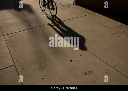 Schatten der Person Reiten Fahrrad auf Bürgersteig Stockfoto