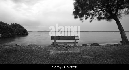 Lemon Tree Passage, NSW Stockfoto