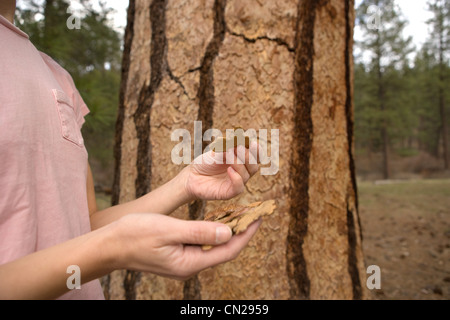 Frau mit Baumrinde Stockfoto