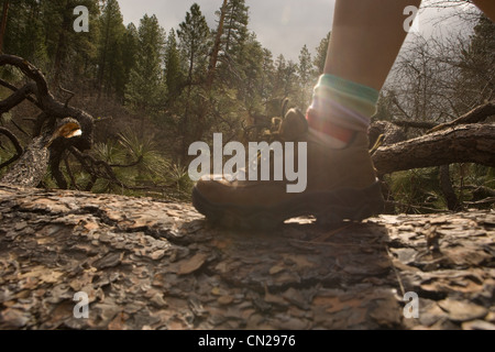 Frau Wandern entlang Baumstamm Stockfoto