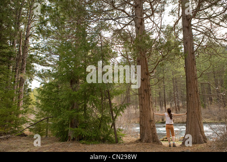 Frau im Wald, Arme Stockfoto