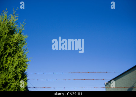 Stacheldrahtzaun gegen blauen Himmel Stockfoto