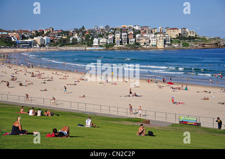 Blick auf Park und Strand, Bondi Beach, Sydney, New South Wales, Australien Stockfoto