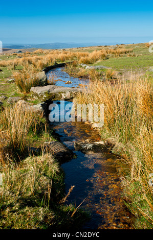 Merrivale ist und auf Dartmor Nationalparks wo gibt es eine Anzahl von prähistorischen Monumenten, Stein Zeilen Steinsärge, Kreise usw.. Stockfoto