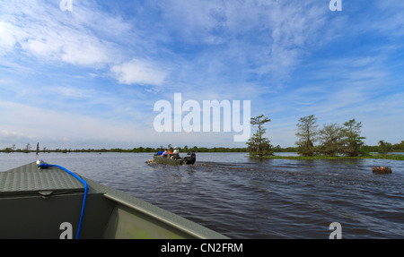 Touristen auf Bootstouren von Atchafalaya Swamp, den größten Sumpf in den USA, eine Kombination aus Feuchtgebieten und Flussdelta. Stockfoto