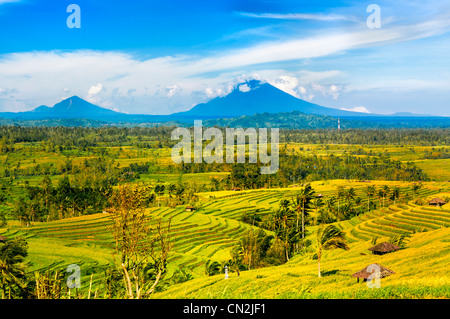 Ein Blick auf Reisterrassen aus dem Dorf Jatiluwith in Bali, Indonesien Stockfoto