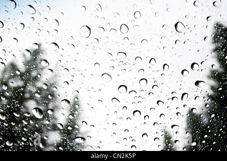 Regentropfen am Fenster Stockfoto