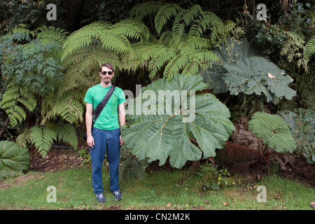 Mann, der durch große Blätter, Poas Volcano National Park, Costa Rica Stockfoto