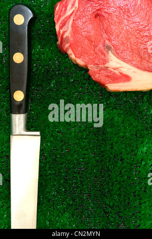 Rohes Fleisch und Küche Messer gefälschte Gras Stockfoto
