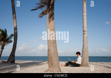 Geschäftsmann, sitzen Palme am Strand mit laptop Stockfoto