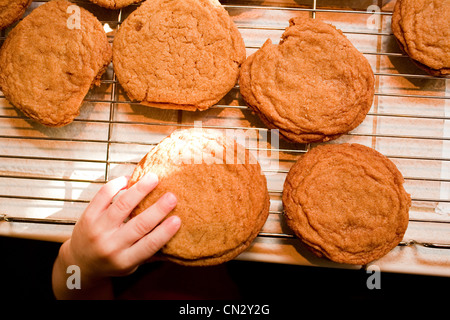 Junge, frisch gebackene Cookies unter Stockfoto