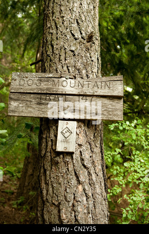 Holzschild auf Baumstamm Stockfoto