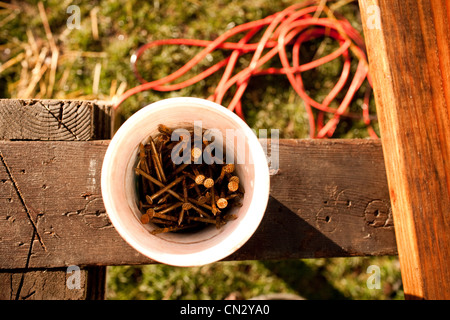 Metall Nägel im Plastikbecher, erhöhte Ansicht Stockfoto