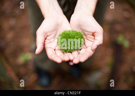 Frau mit Moos in der Handfläche Stockfoto