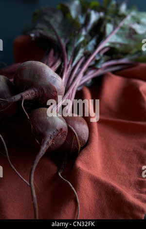 Frische rote Beete Stockfoto