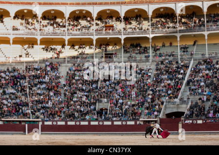 Stierkämpfer mit Stier in der Stierkampfarena Las Ventas mit Publikum, Madrid Stockfoto