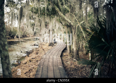 Gehweg durch Sumpf, New Orleans, Louisiana, USA Stockfoto